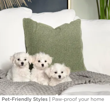 Pet-Friendly Styles. Paw-proof your home